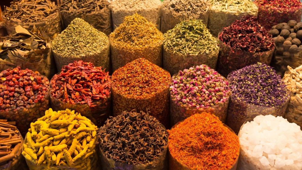 why choose anatolia expedition tours